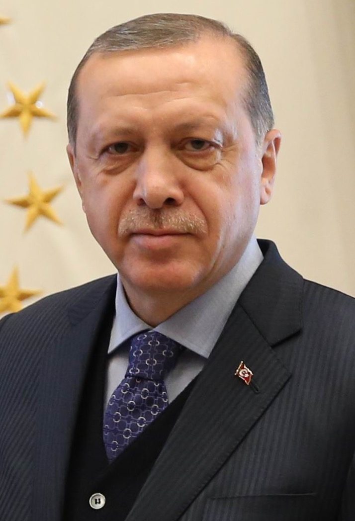 Cumhurbaşkanı Recep Tayyip Erdoğan'ın resmi portresi